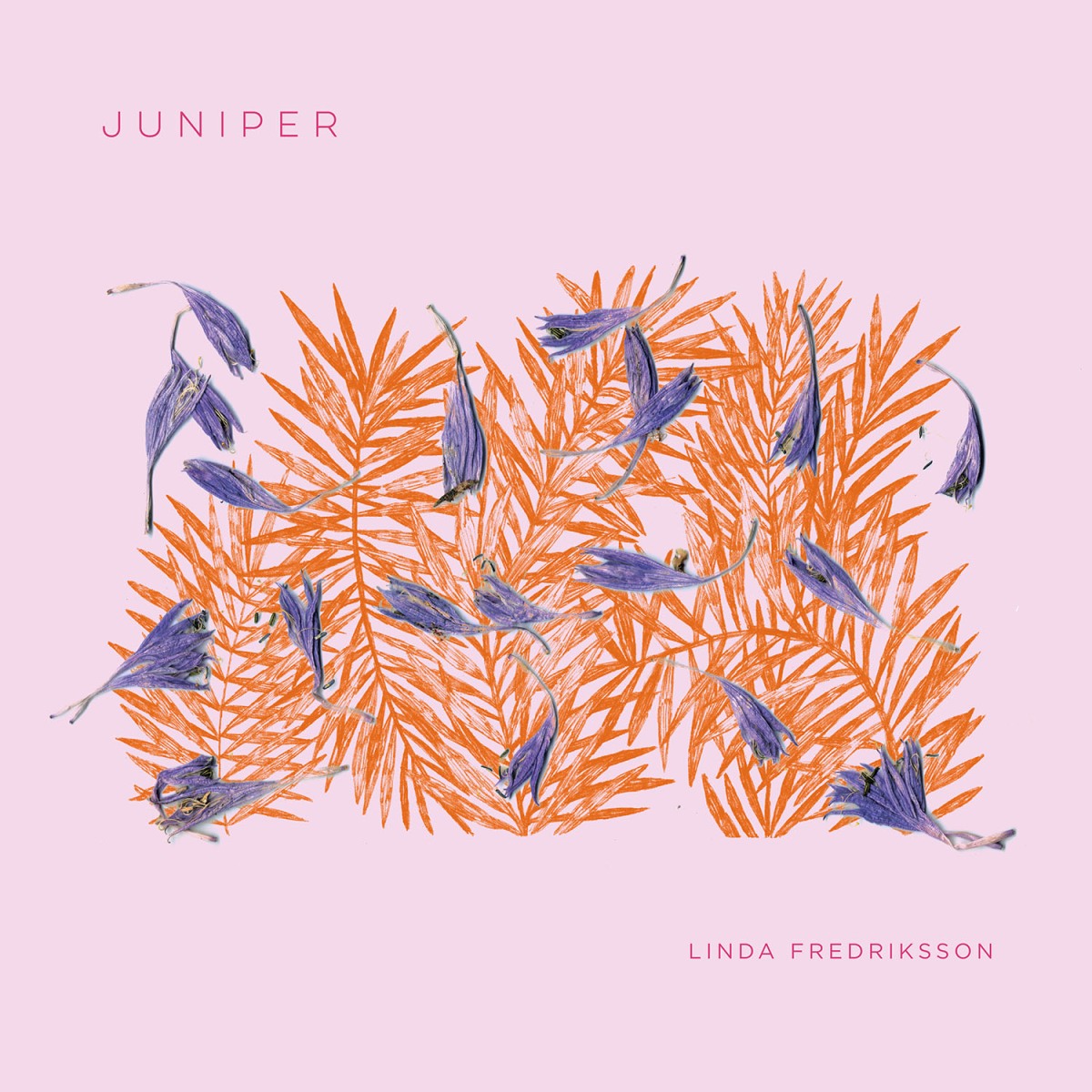 juniper-cover